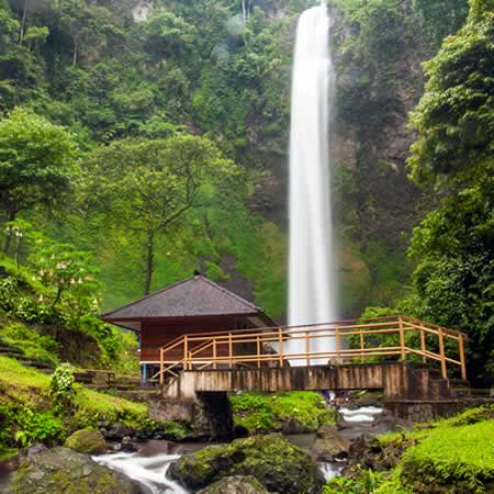 Antar Jemput Bandara Ngurah Rai (DPS) Denpasar Bali ke Cimahi Jawa Barat dan Carter Mobil