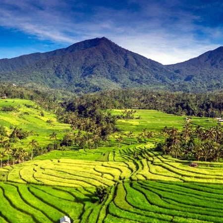 Antar Jemput Bandara Ngurah Rai (DPS) Denpasar ke Jatiluwih, Carter Mobil Bali