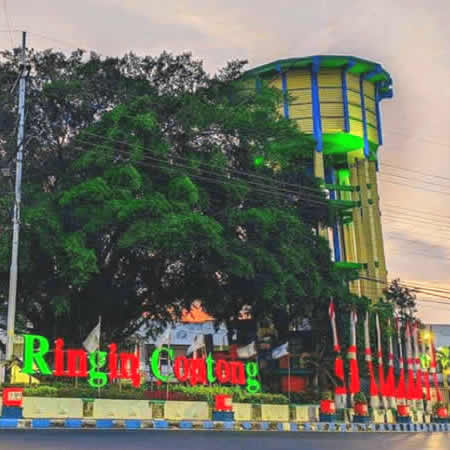 Antar Jemput Bandara Ngurah Rai (DPS) Denpasar Bali ke Jombang Jawa Timur dan Carter Mobil