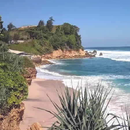 Antar Jemput Bandara Ngurah Rai (DPS) Denpasar Bali ke Tulungagung Jawa Timur dan Carter Mobil